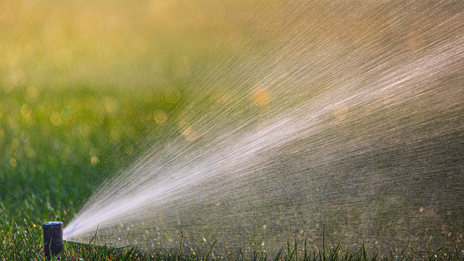 Sistema di irrigazione automatico che innaffia il prato verde
